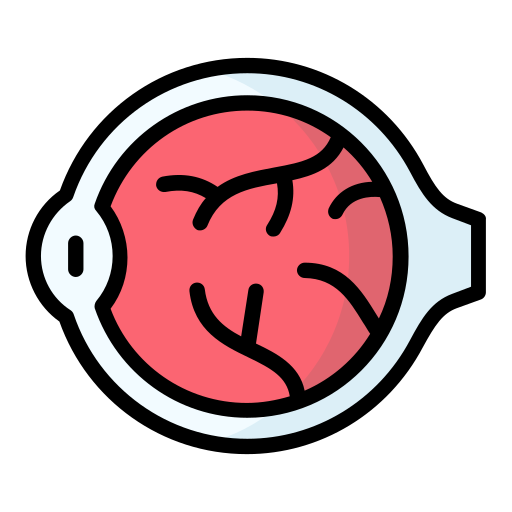 Retina & Vitreous Services